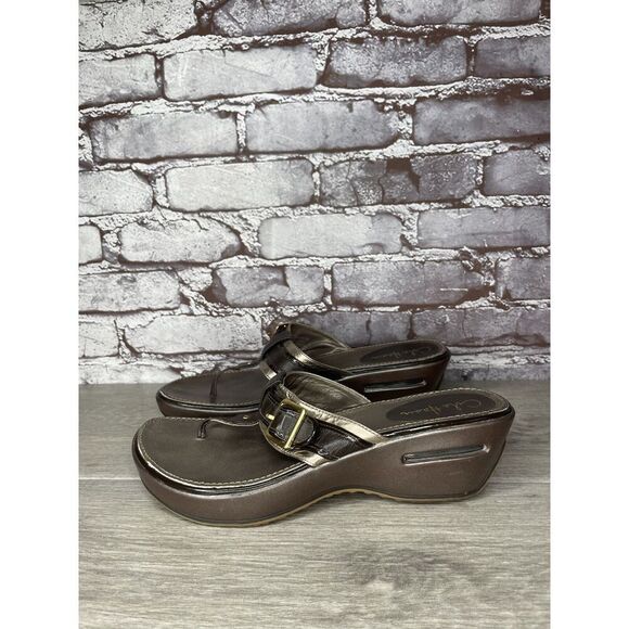 Cole Haan Air Brown Leather Bronze Wedge Thong Slide Sandals Women’s 10B US/41EU - Picture 1 of 16